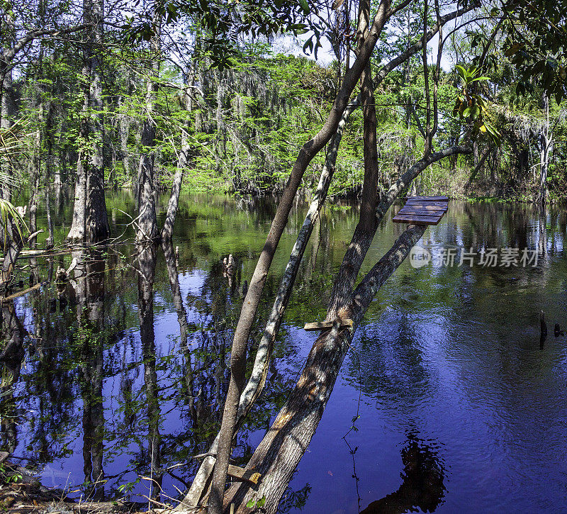 在佛罗里达州基西米的Shingle Creek，这个临时跳水板已经被重建了很多次，并由各个年龄段的当地人维护